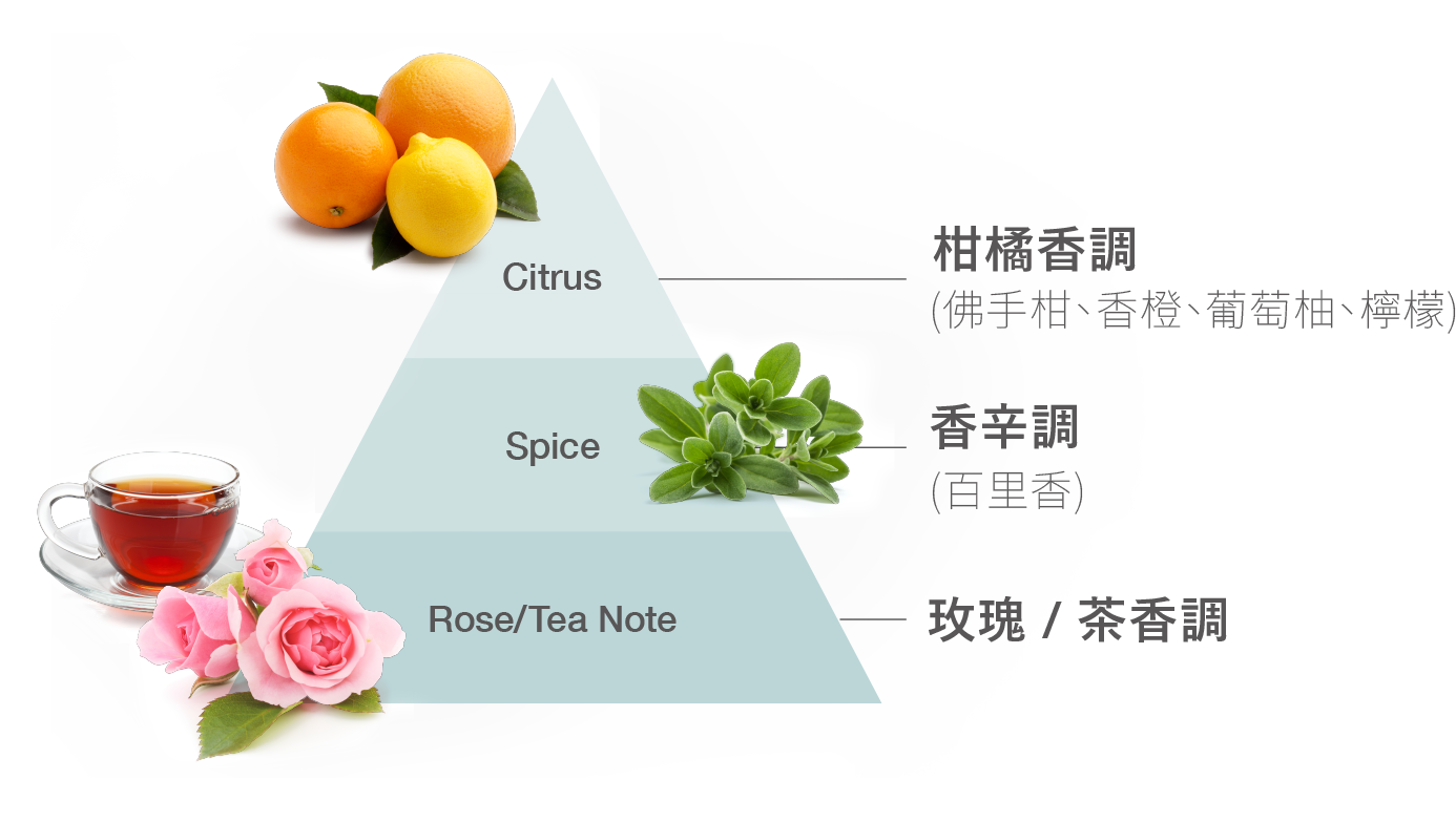 柑橘茶香調示意圖