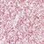 色號：05 Pink Tulle　(GLITTER)